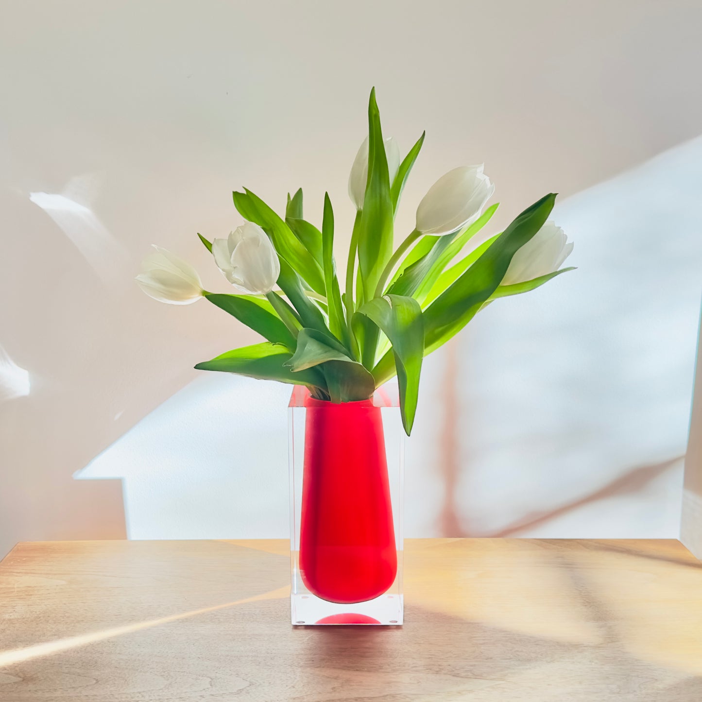 Red vase with white tulips on a wooden surface