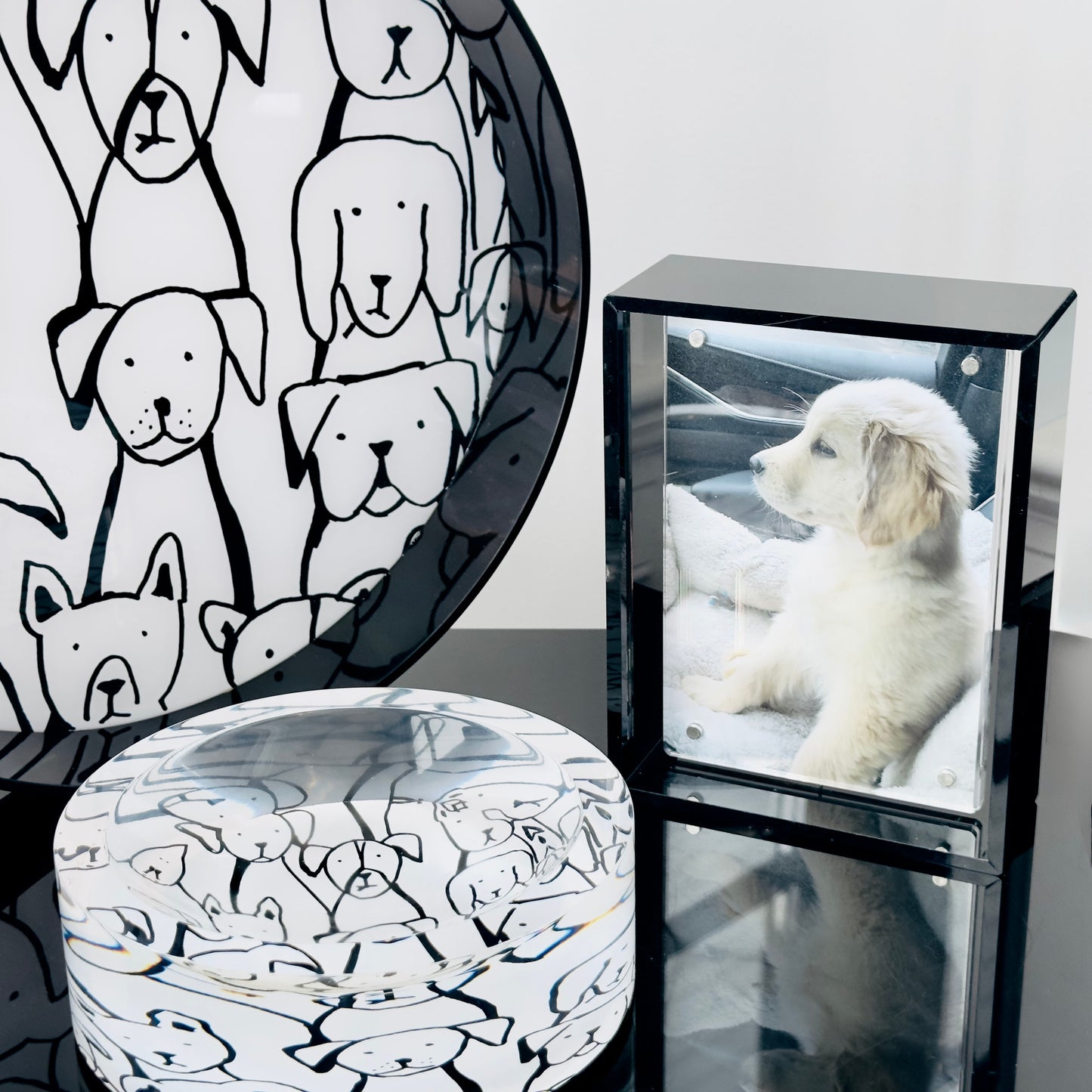 Decorative acrylic items with black and white dog illustrations and a photo of a puppy in a acrylic frame box.