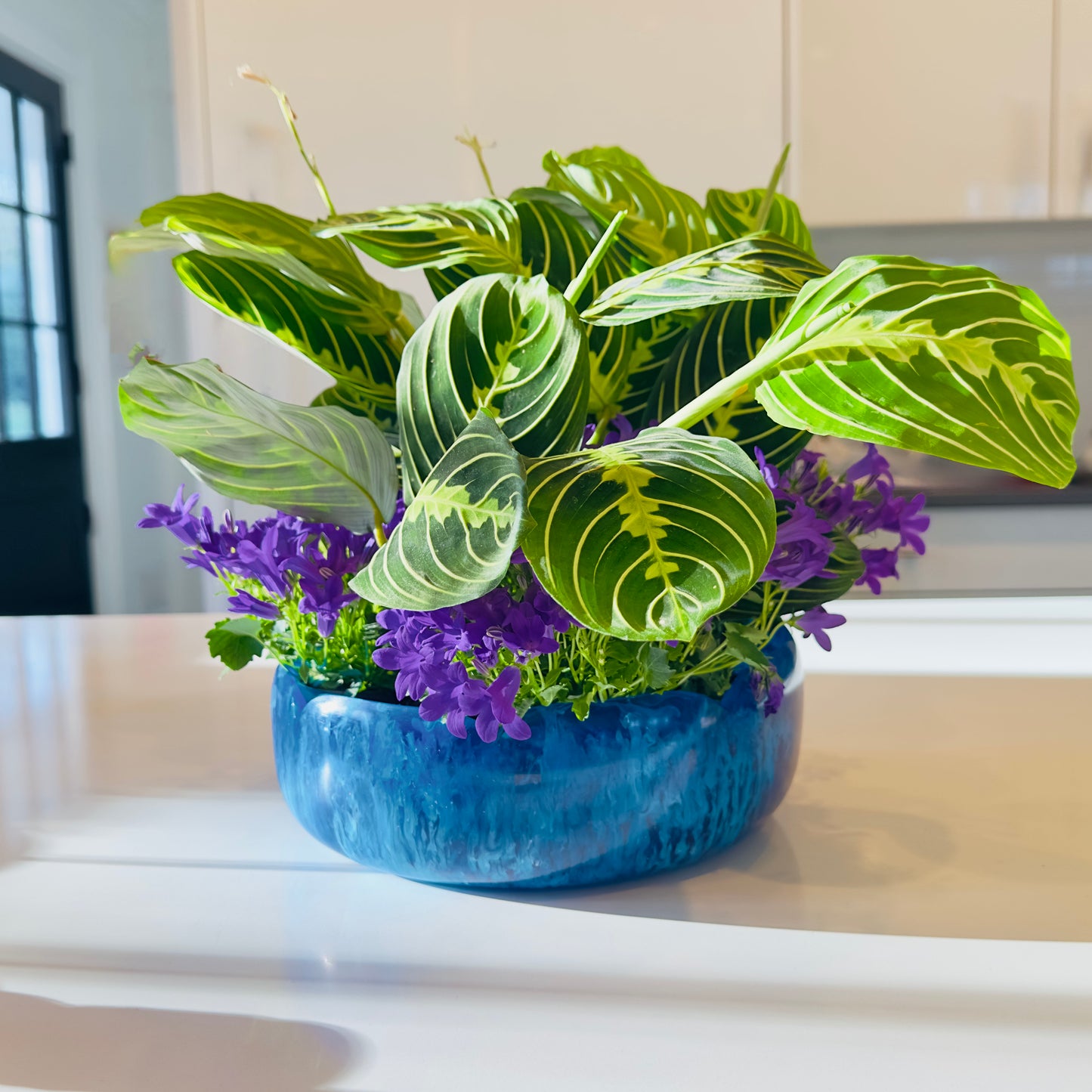 Clementine Scalloped Bowl